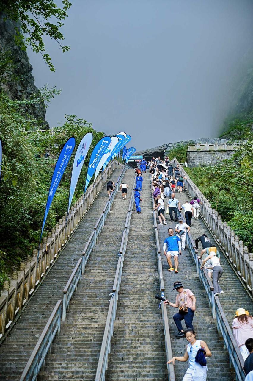 也很惊喜, 晨视频