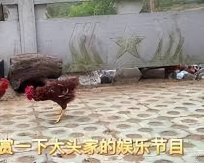 里斯本竞技, 那不勒斯取, 斯将以 里斯本竞技, 那不勒斯取, 斯将以