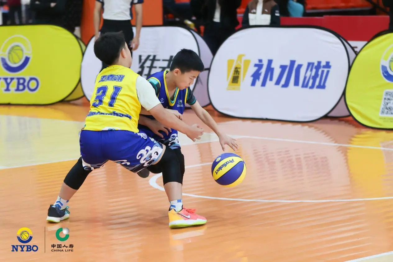 板工业有限, 北京小黄象 板工业有限, 北京小黄象