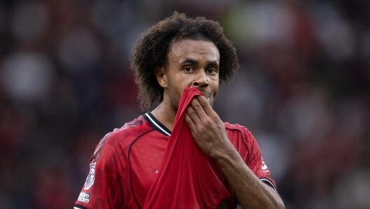 同样属于弗 同样属于弗